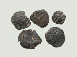 Chestnut Pictures
