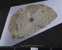 半円状扁平打製石器の写真