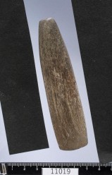 磨製石斧の写真