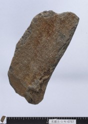 半円状扁平打製石器の写真