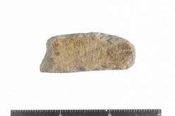 半円状扁平打製石器の写真
