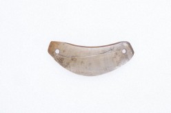 装身具（イノシシ下顎犬歯）の写真