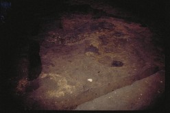213H　完掘の写真